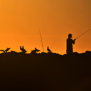 Fishing Silhouette